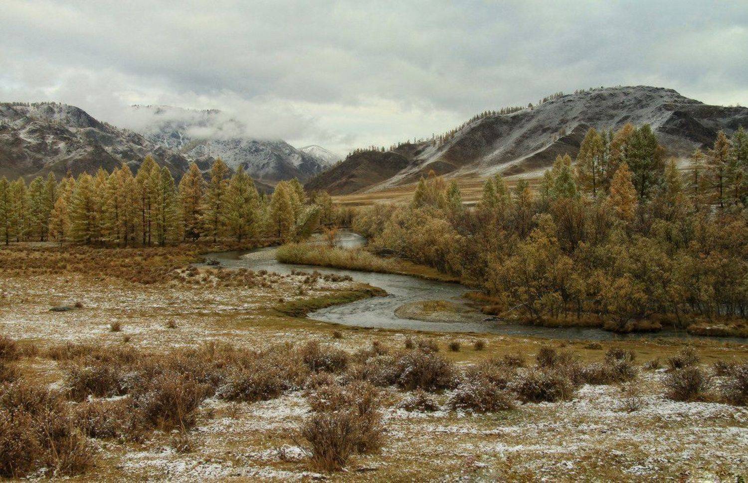 горный алтай, осень, первый снег, алтай, река, урсул, Галина Хвостенко