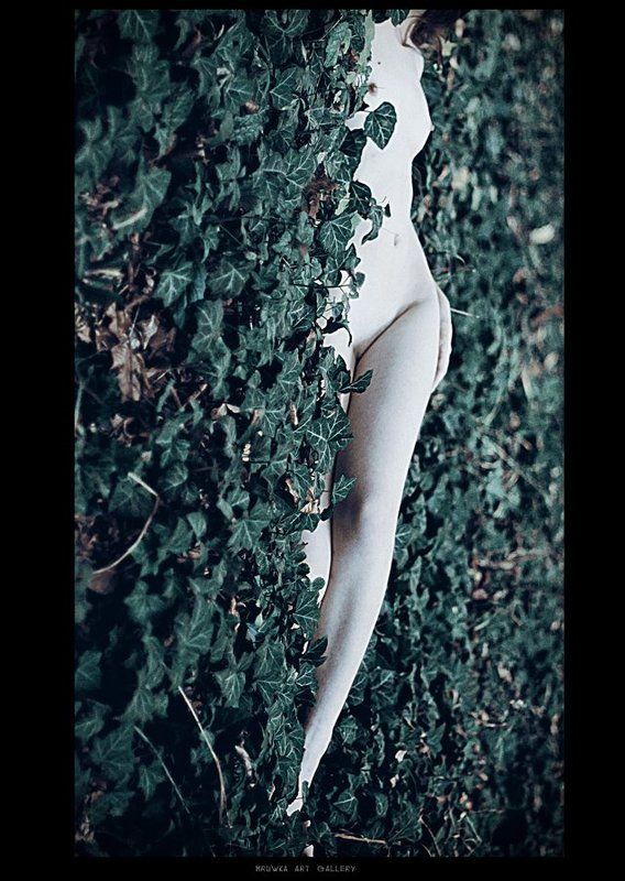 - фото превью