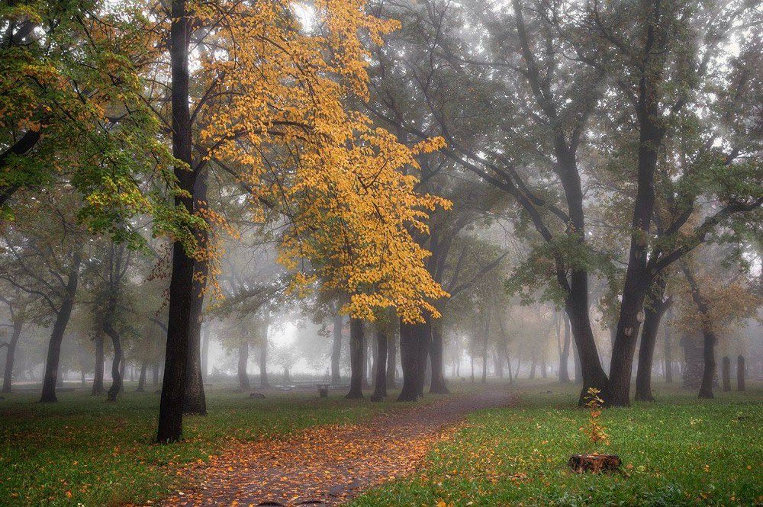 осень, парк, Александр