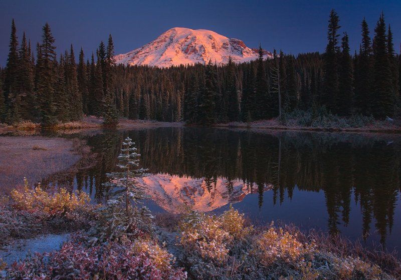 Morning in Wonderlandphoto preview