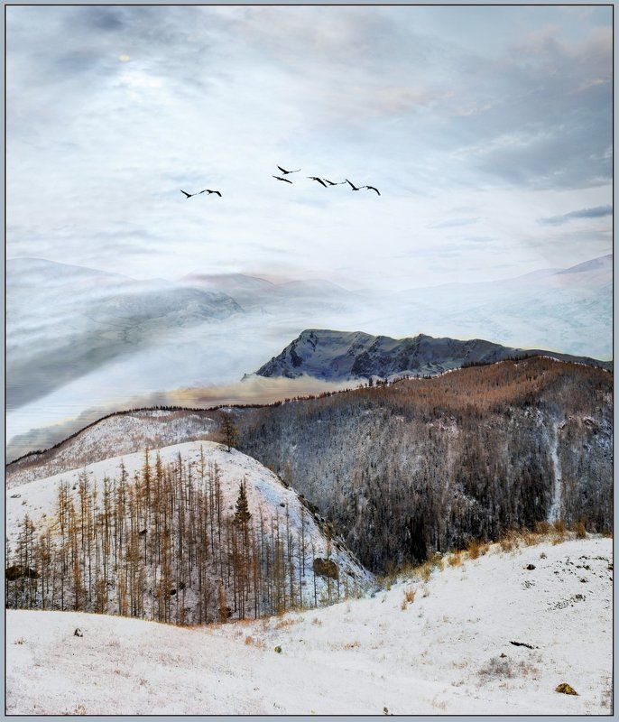 мажой, осень,снег,горы. Беловодье...(Блюз уходящей осени..).photo preview