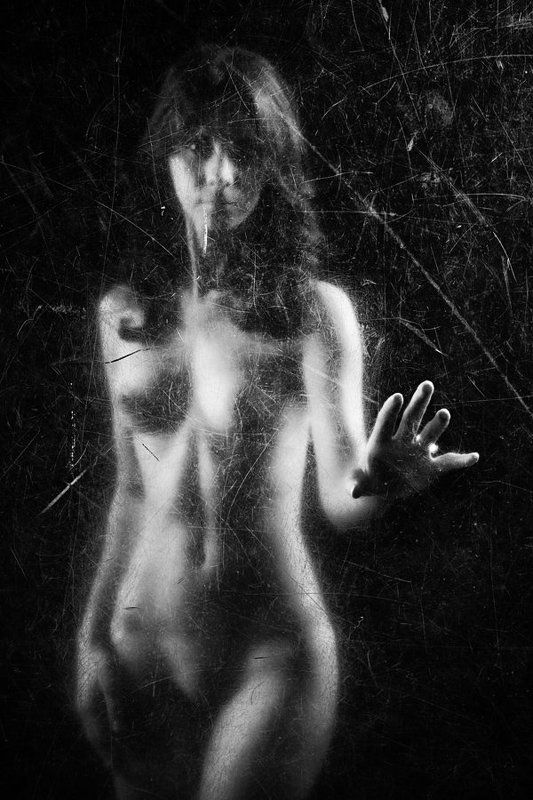 ..а где то в реке плавал сом.photo preview