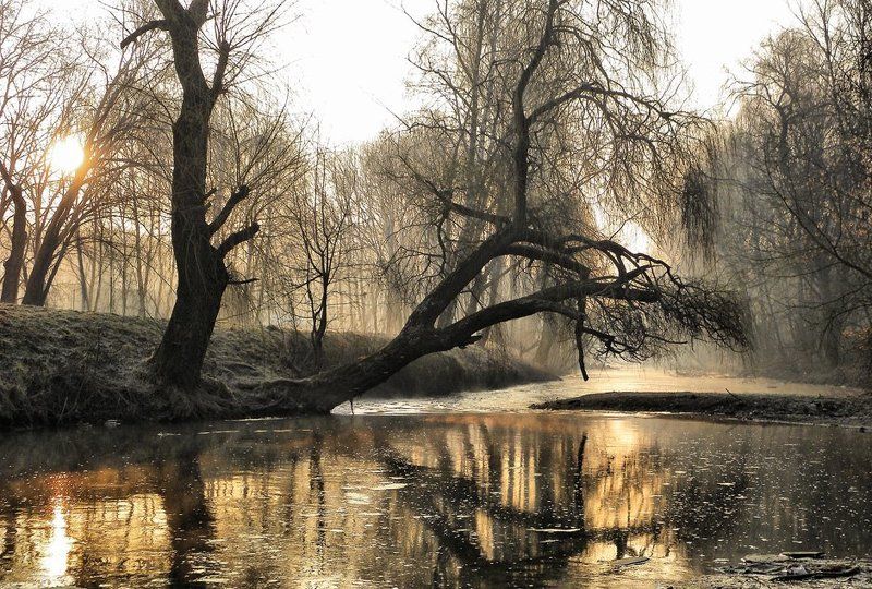 Утренняя сказкаphoto preview