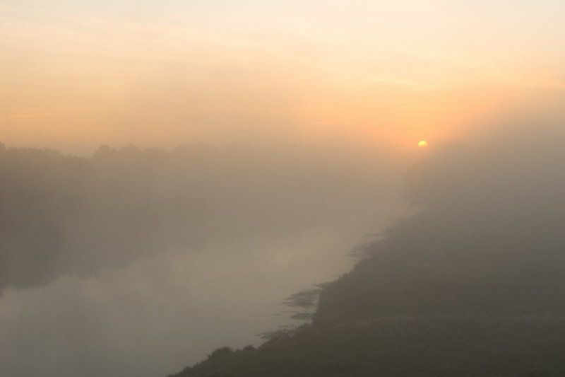солнце, утро, река, туман, восход, паутина, долина, пейзаж,  украина,  десна, пироговка Солнечная историяphoto preview