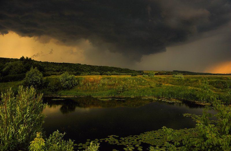 Летнее, густое...photo preview