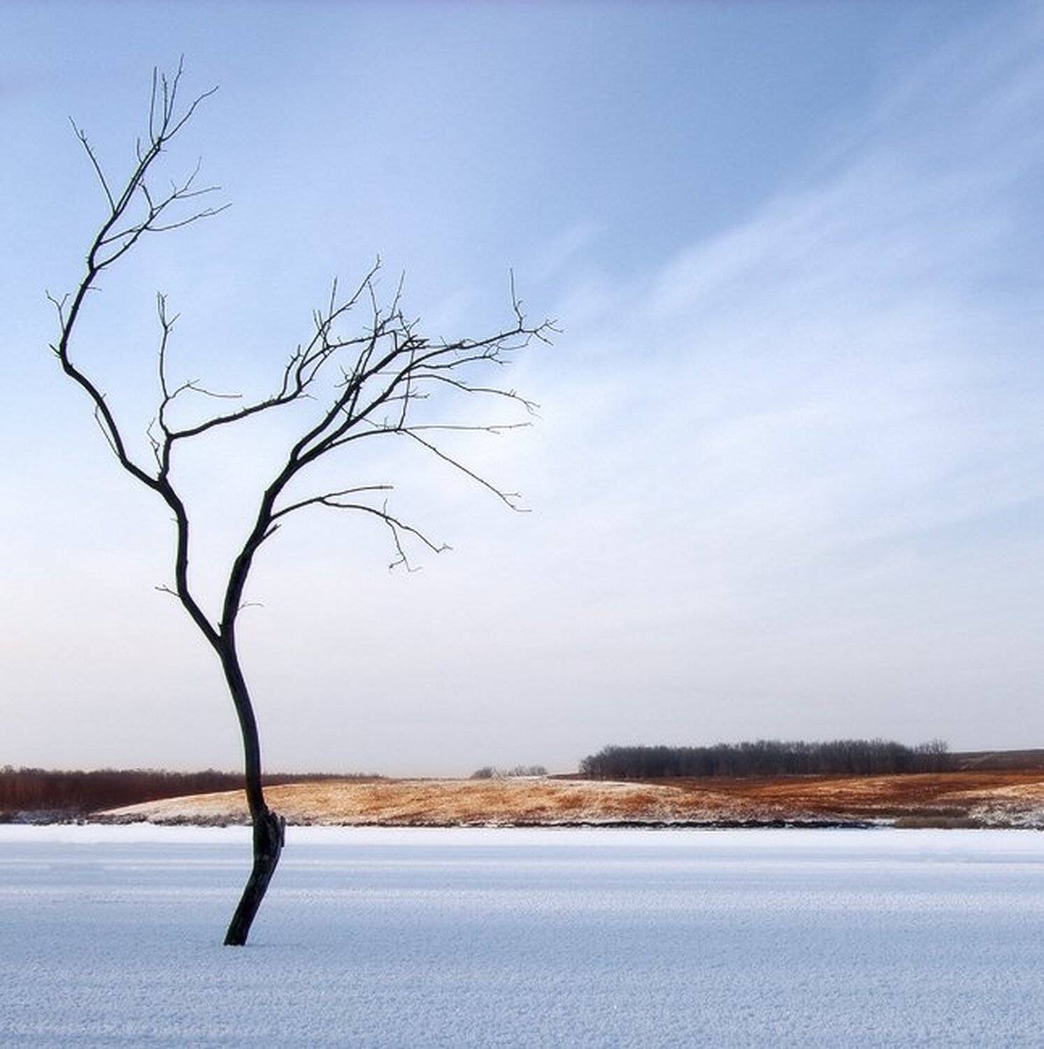 Танец-приват. Автор: Sherr , Sherr