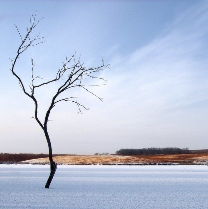 Танец-приватphoto preview