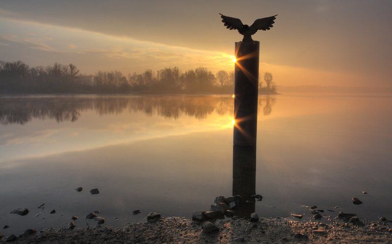 Утренний дозорphoto preview