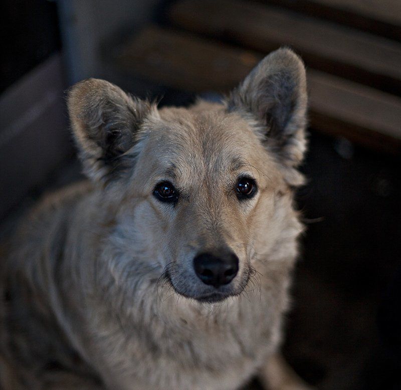Человеческий взглядphoto preview