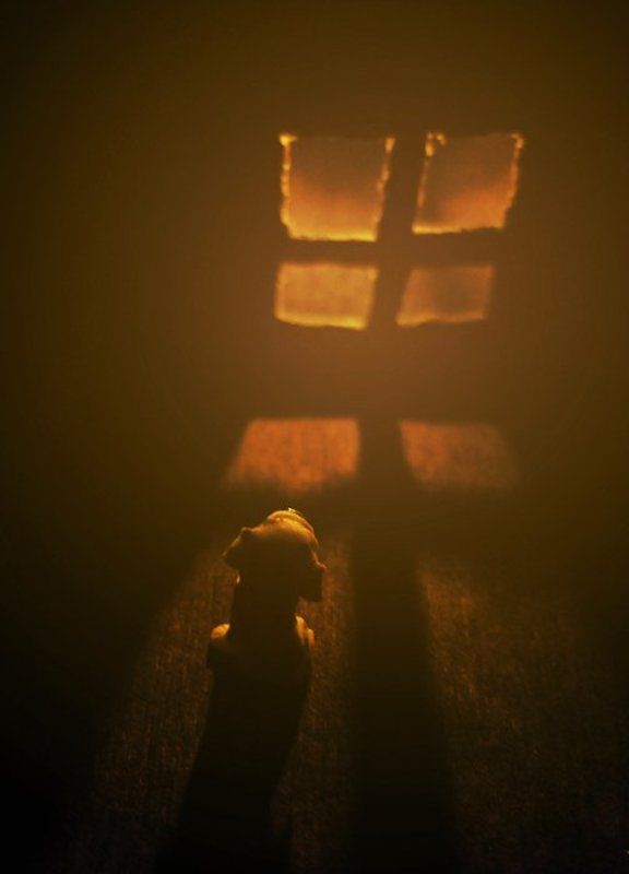 Домойphoto preview