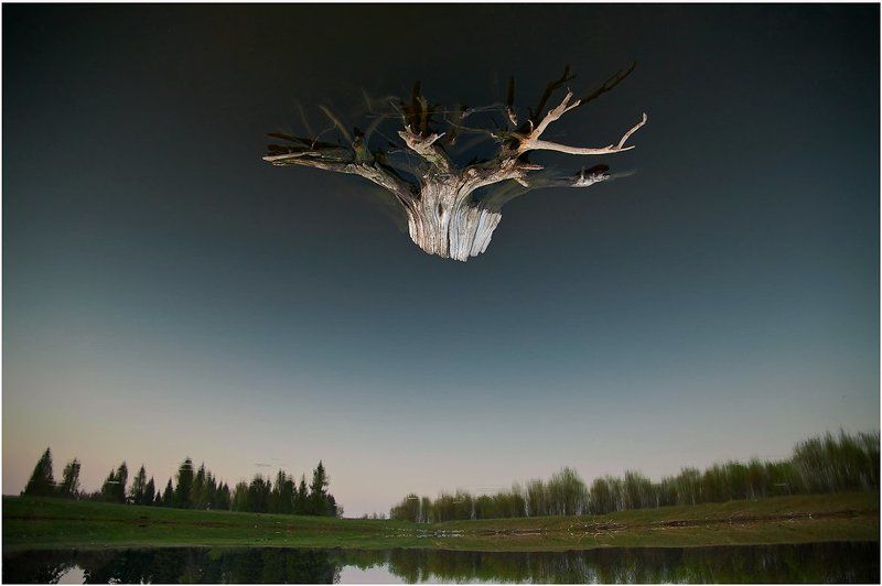 перевернутый мир фото превью