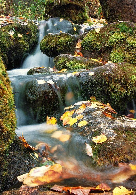 урал, denlog Пьяный ручейphoto preview