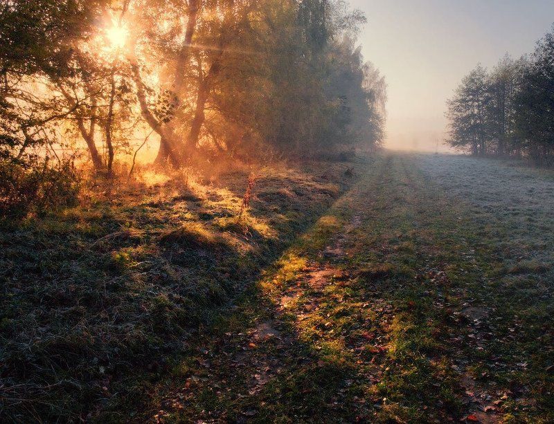 Утро нового дняphoto preview