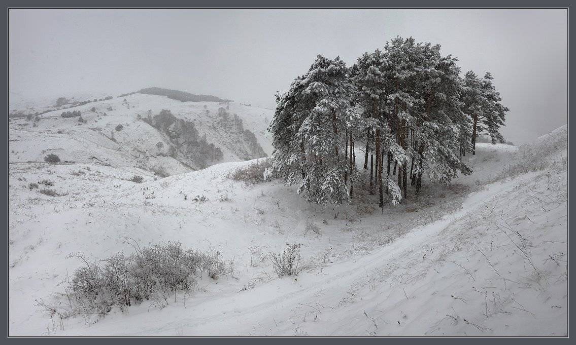 кавказ, горы, снег, мороз, Николай Стюбко