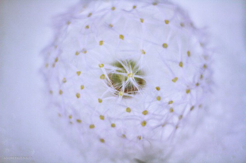 Когда краски не причемphoto preview