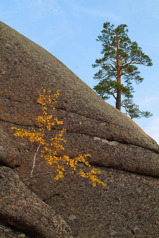 Упрямая парочкаphoto preview