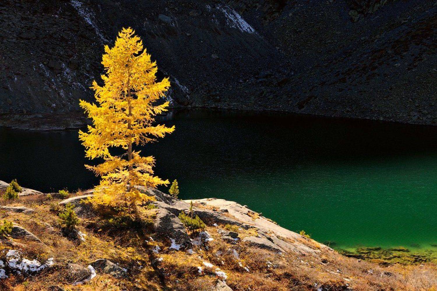 Автор: Kaiser Sozo россия, горный алтай, усть-коксинский район, катунский хребет, озеро куйгук, куйгук, Kaiser Sozo