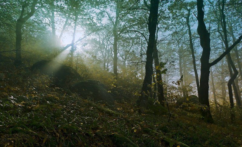 осень, туман горы кавказ утро УТРОМphoto preview