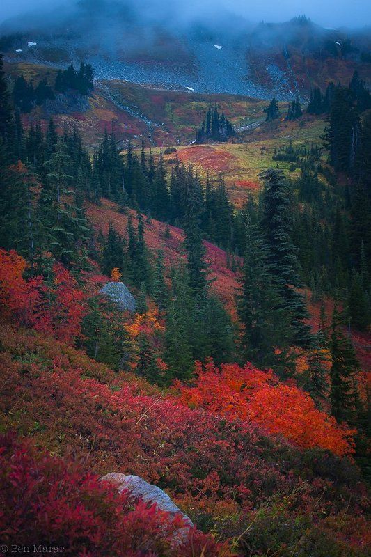 Fall Colors Festivalphoto preview