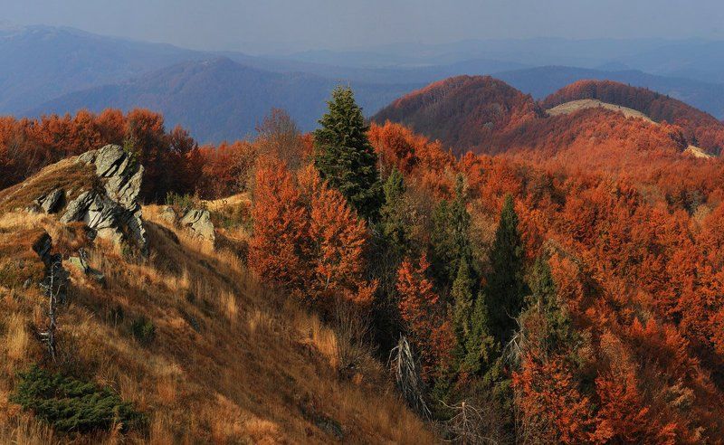 карпаты., осень. Осенние прогулки. фото превью