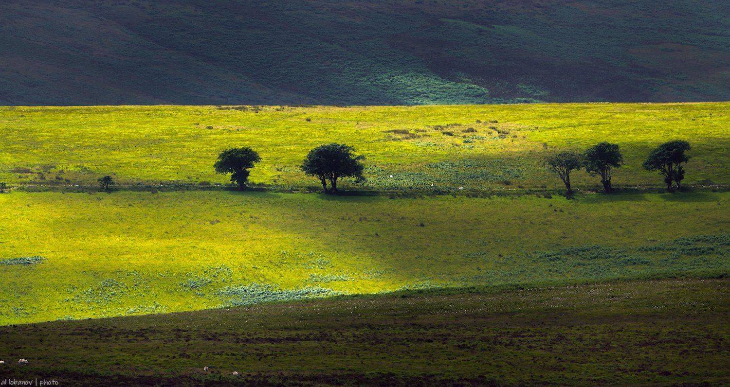 exmoor, devon, england, Алексей Лобанов
