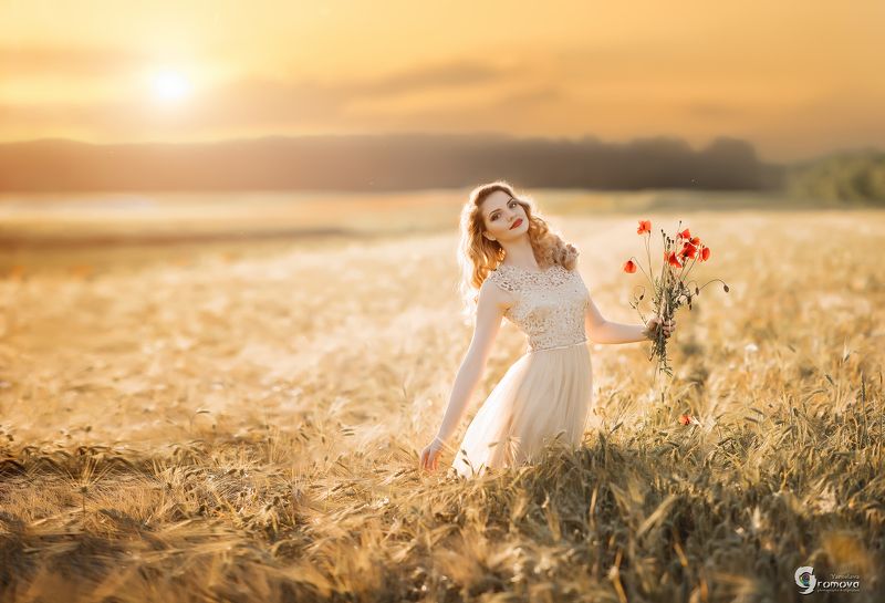 Закат, пшеница, рожь, поле , девушка, маки, лето На закате фото превью