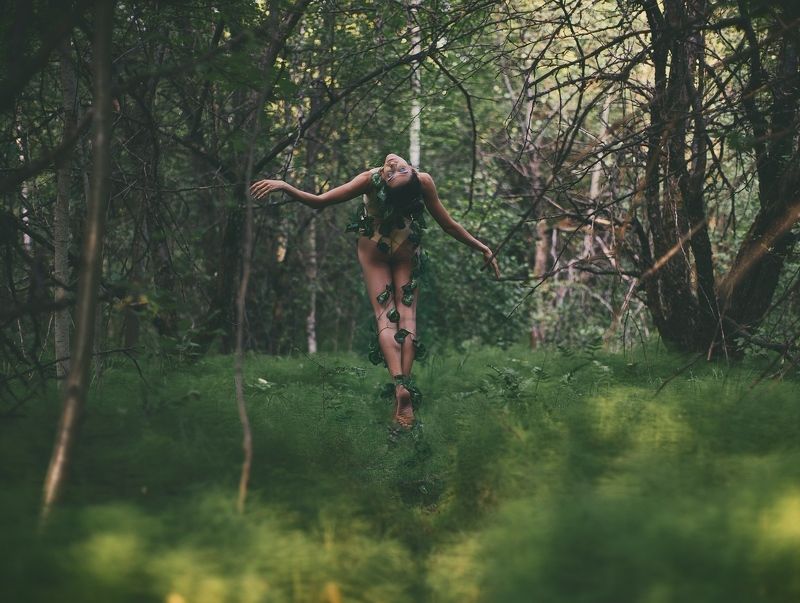 Лесная нимфаphoto preview