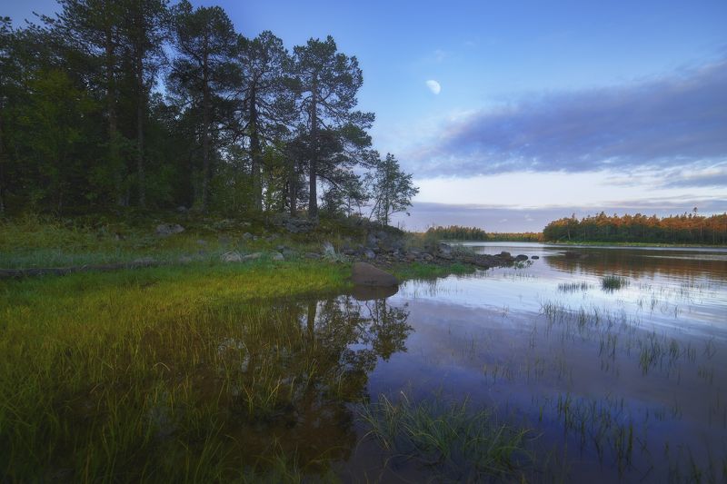 #dervod #drevo #Соловки Новая Сосновка, Соловецкий остров. Рассвет.photo preview