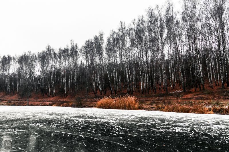 лед, береза, снег, озеро, вода, зима, трава, дерево, небо, пейзаж Зимний колизей...photo preview