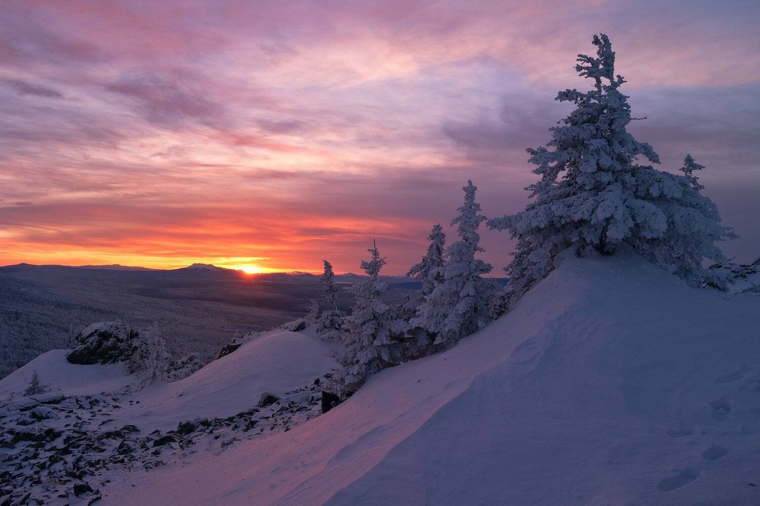 *******. Автор: Андрей Шарапов , Андрей Шарапов