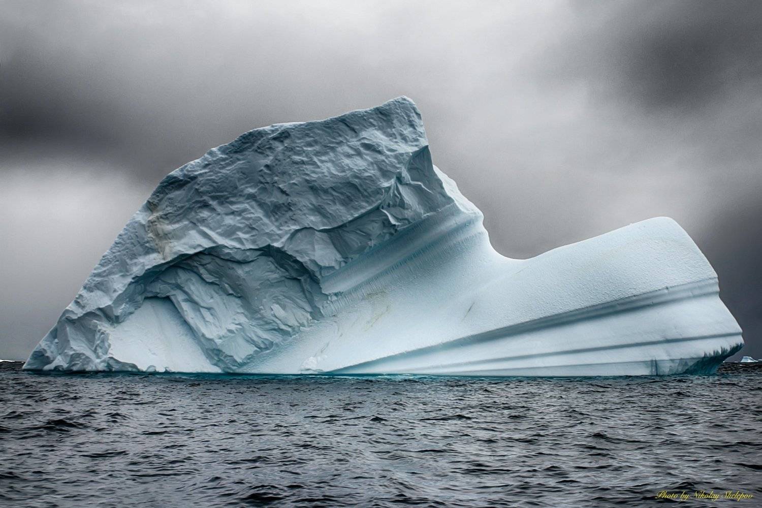 Антарктида 38. Автор: Николай Шелепов , Николай Шелепов