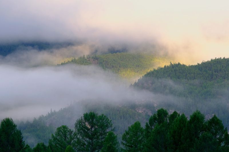 Волшебный туманphoto preview