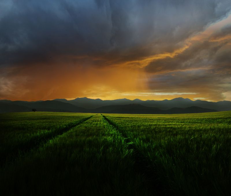 grass,field,sun, clouds,mountains *photo preview