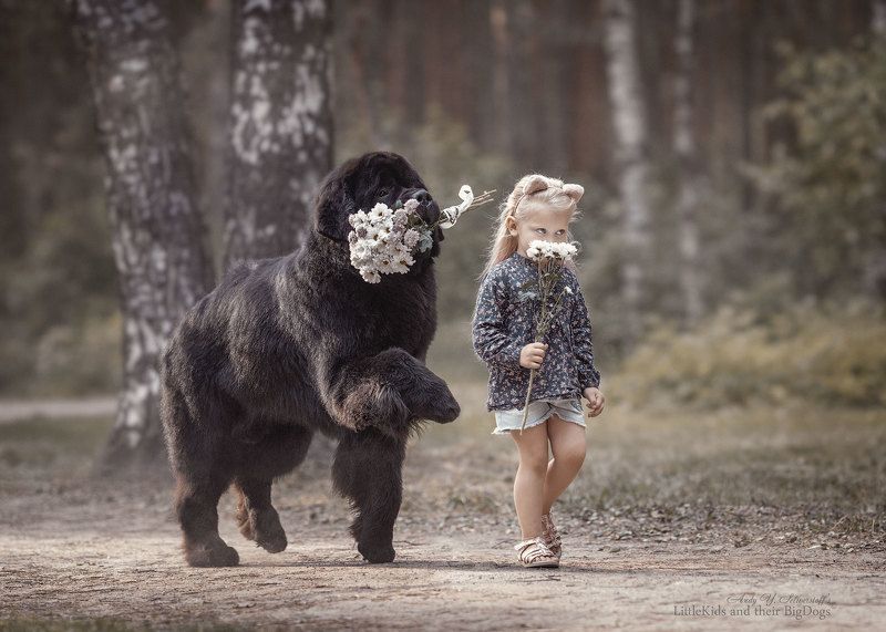 bouquet of flowersphoto preview