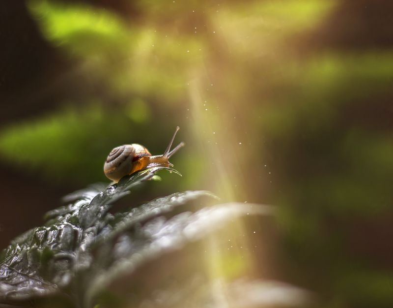 к светуphoto preview