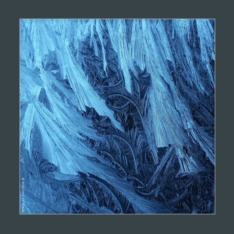 макро, мороз Чеширский лесphoto preview