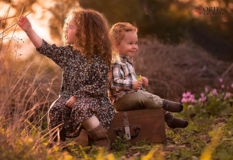 Joy of lifephoto preview