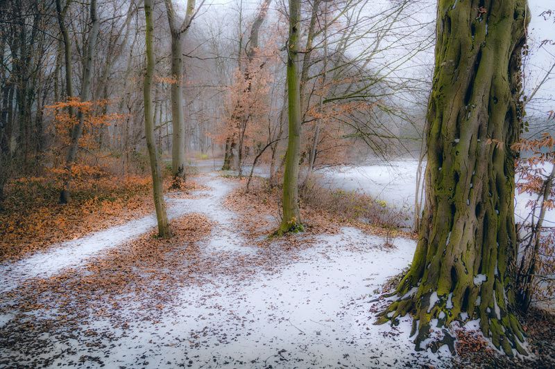 Первый снегphoto preview