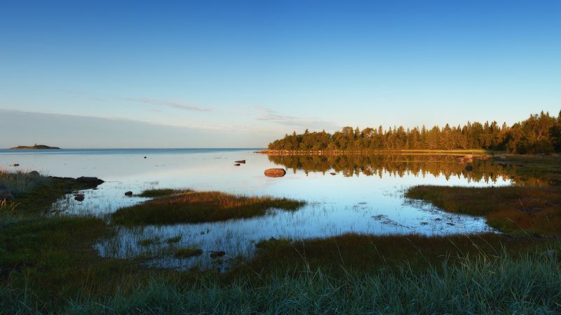 #dervod #drevo #Соловки Новая Сосновка, Соловецкий остров. Рассвет.photo preview