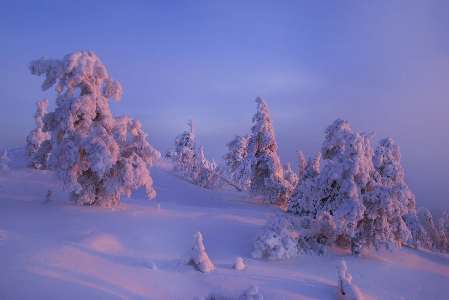 , Романский Владимир (NikonZoom)