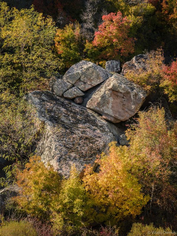 осень, закат, деревья, камни, желтый, контраст, вертикальный, природа, скалы, листва Камни среди деревьев. Осень в Актовском каньоне.photo preview