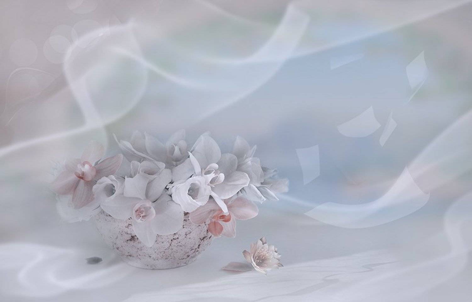 букет композиция розы орхидеи радость улыбка вдохновение, Eлена Шовкопляс