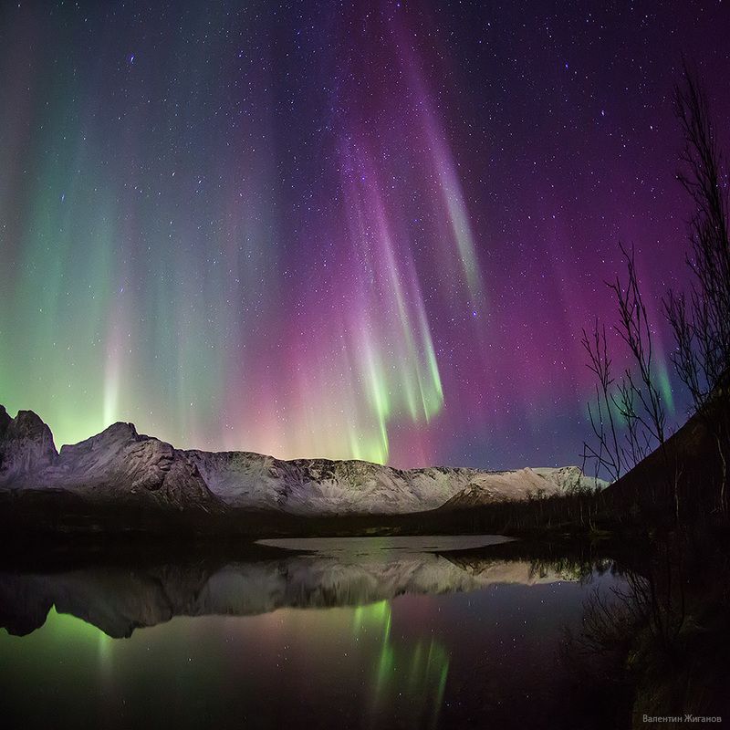 Хибины, сияние, заполярье Сияние над Хибинамиphoto preview