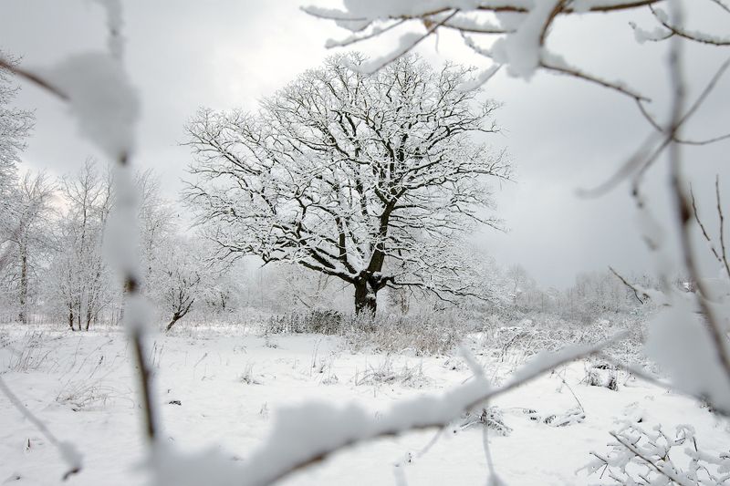 зима, пейзаж, окошко Окошко в зимуphoto preview