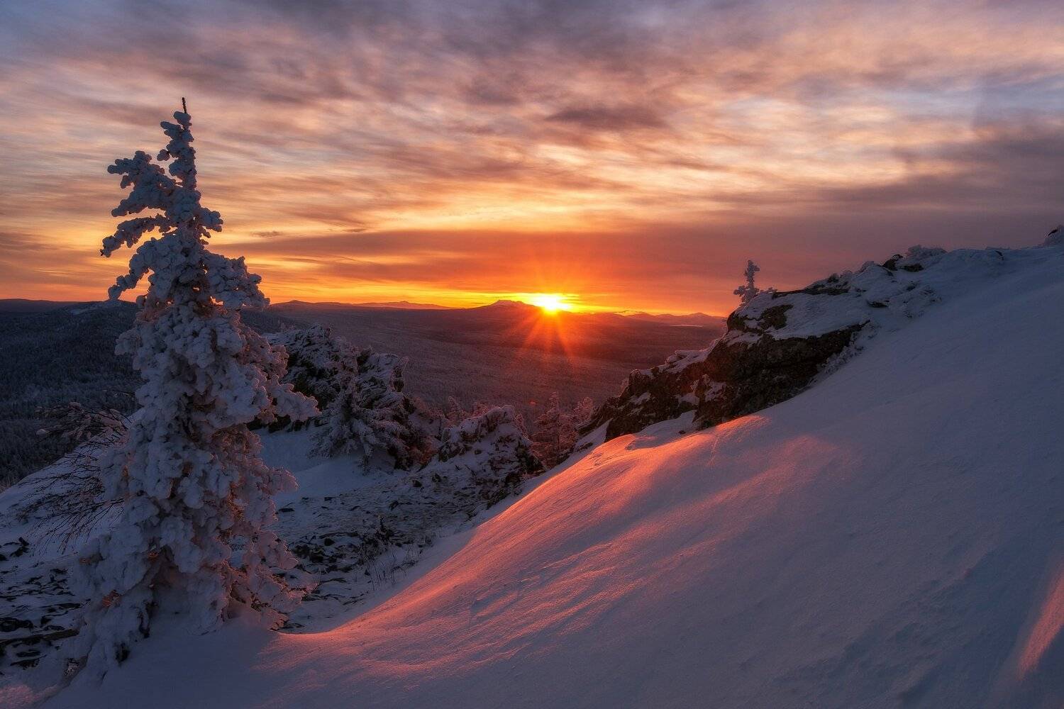 , Андрей Шарапов