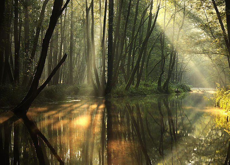 Happy New Yearphoto preview