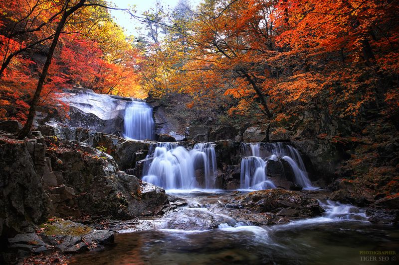 fall autumn water long_exposure tree mountain flow rock landscape Korea fallphoto preview