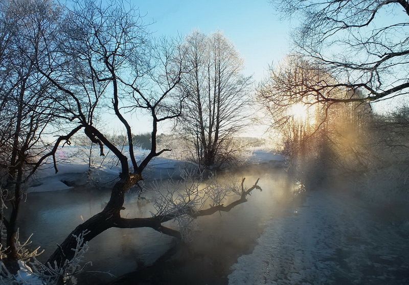 С НОВЫМ ГОДОМ, ДРУЗЬЯ!!!photo preview