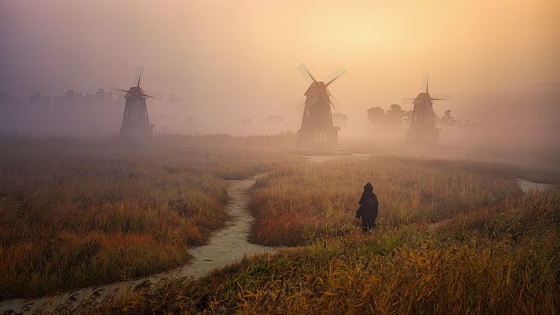 fog landscape woman windmill forest sunrise morning Korea misty woman in fogphoto preview