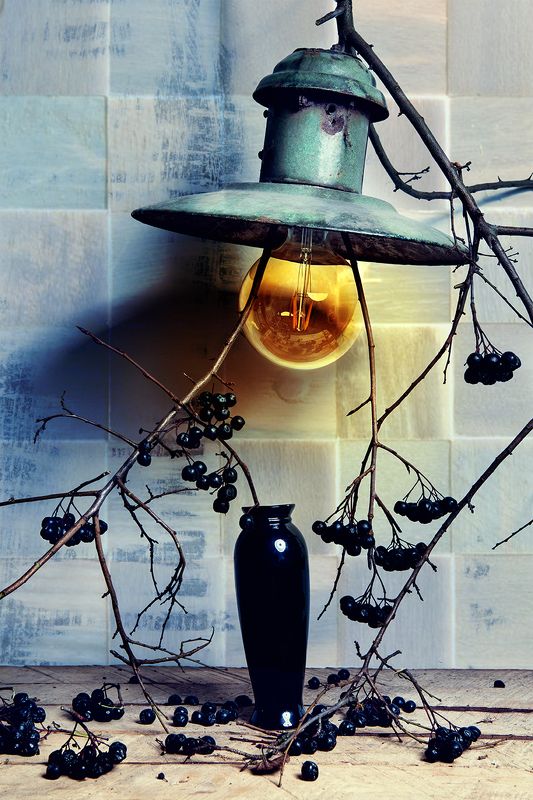 place under the sunphoto preview